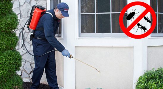Terme Gümüşkurt İlaçlama böcek ilaçlama ve haşere kontrolü — ilaclama-tr.com
